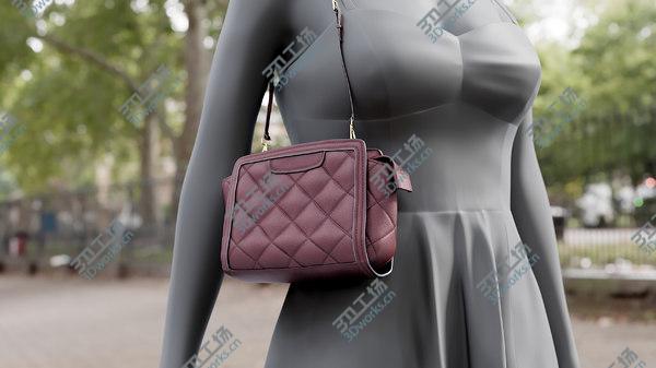 images/goods_img/20210312/Bags Collection 11 3D model/4.jpg